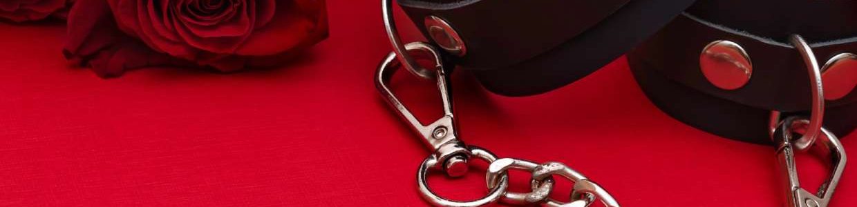 bdsm-1240x515
